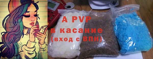 стаф Алексин