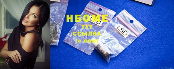 стаф Алексин