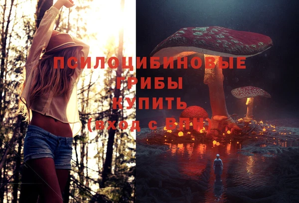 стаф Алексин
